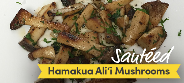 sauteed hamakua alii mushrooms