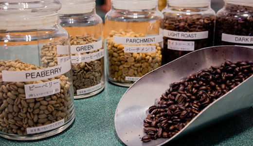 types of coffee beans