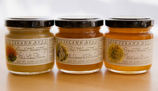 jars of honey